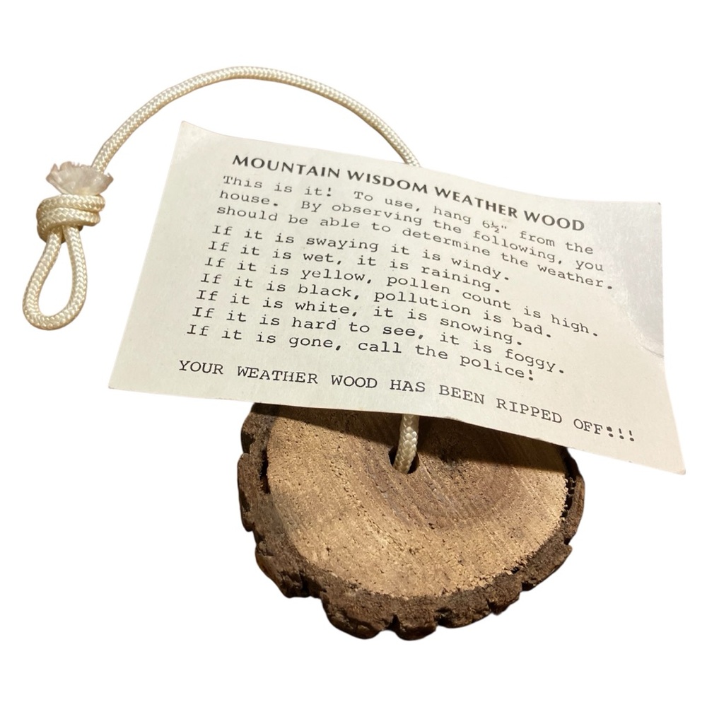 Vintage Mountain Wisdom Weather Wood with Rope Souvenir Rustic Cabin Folk Art
